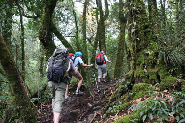 trekkinginvietnam